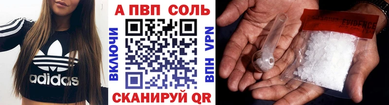 где можно купить   Судак  Альфа ПВП СК 