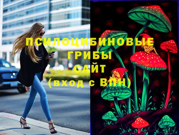 спайс Арсеньев