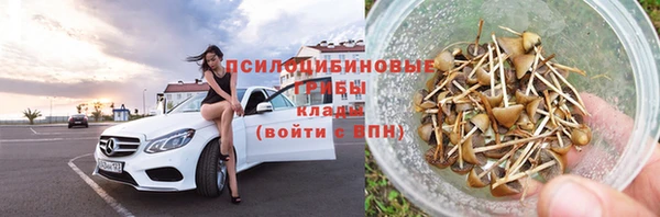 спайс Арсеньев