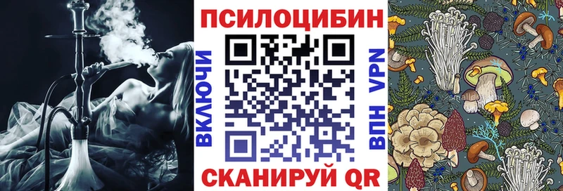 darknet наркотические препараты  Судак  Галлюциногенные грибы мицелий 