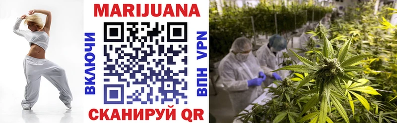 Канабис индика  Судак 